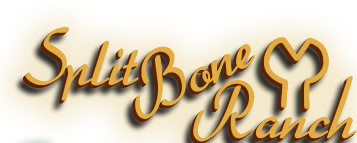 Split Bone Ranch | Lacey Donegan