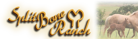 Split Bone Ranch